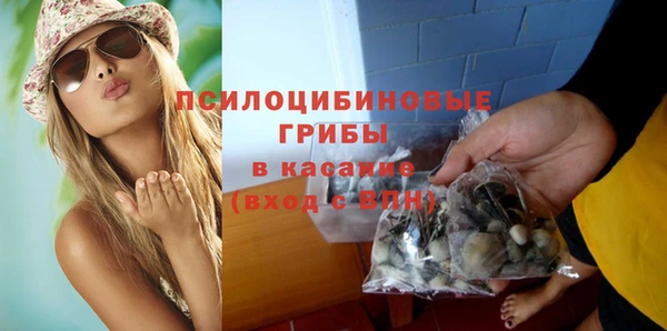 гашиш Богородицк