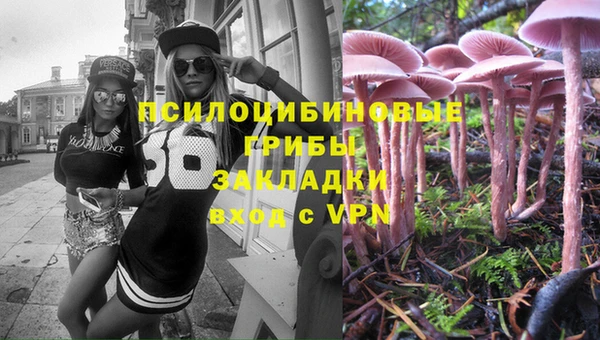соль ск Богданович