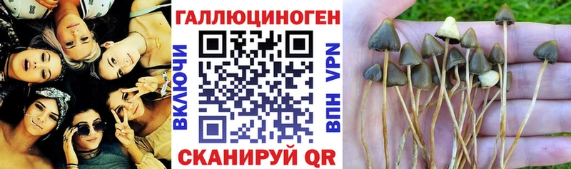 Галлюциногенные грибы мухоморы  Купить где  Сатка 